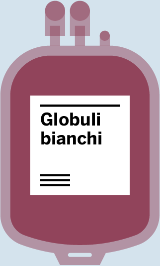 Globuli bianchi