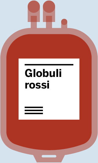 Globuli rossi